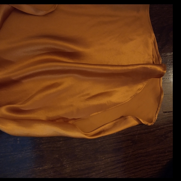 Victoria Secret 🍁100% Silk Slips 🍁size L - Picture 8 of 12